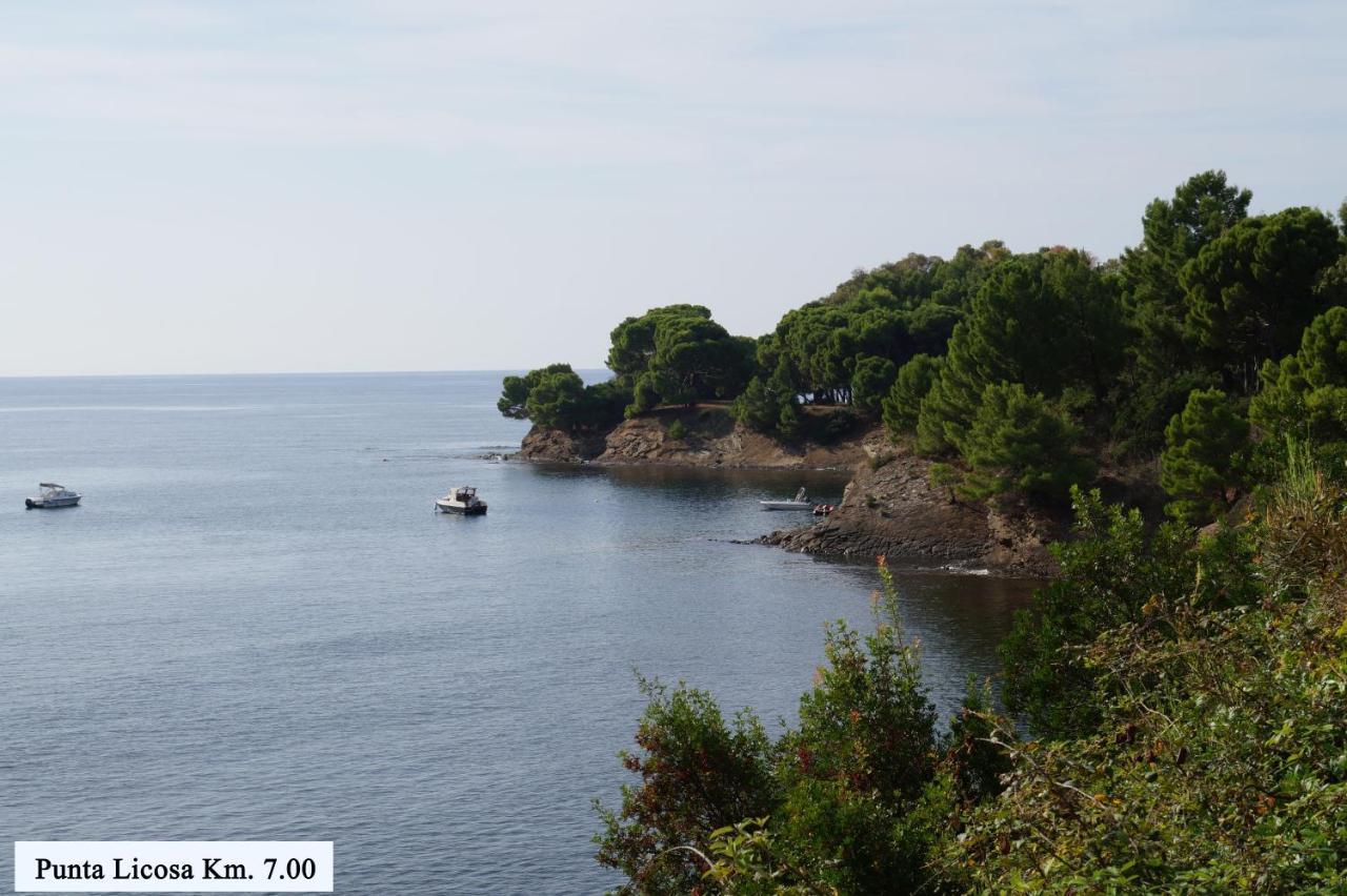 Micheletto Villa Perdifumo Bagian luar foto